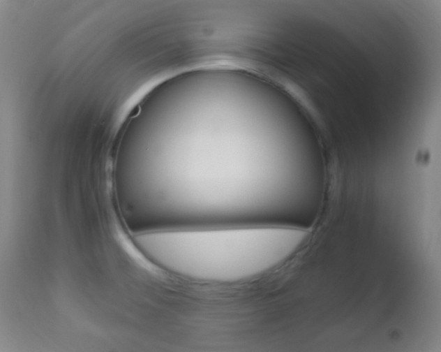 X0000112851476200908211019