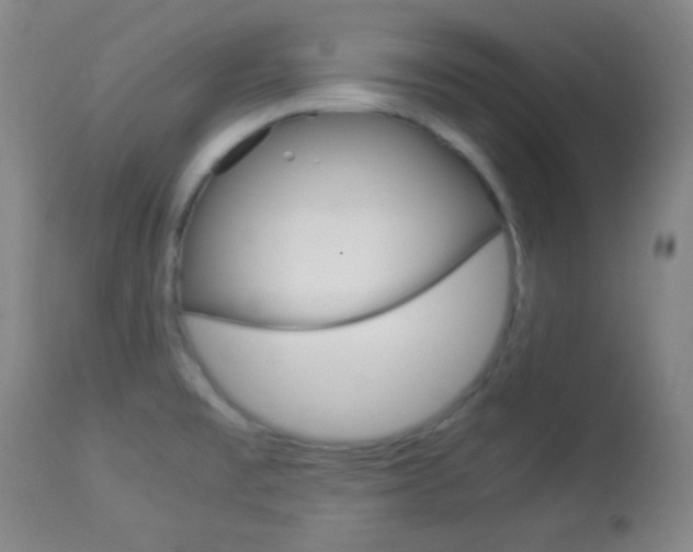 X0000112851477200908211019
