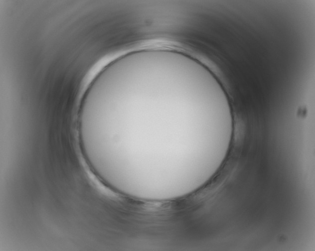 X0000112851478200908211019
