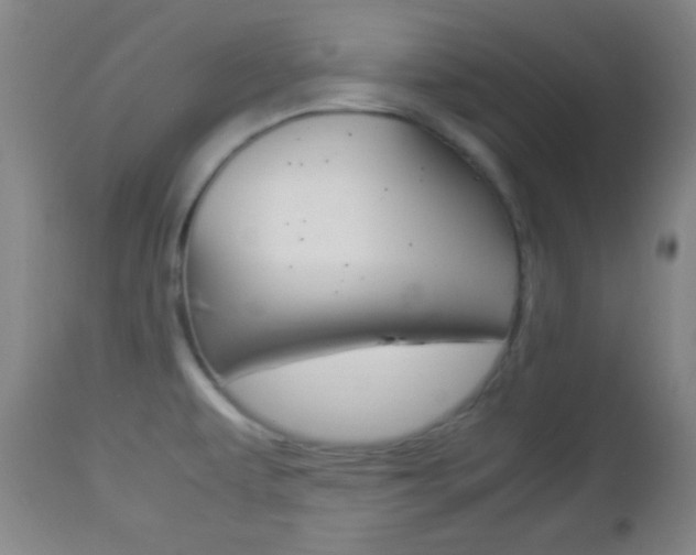 X0000112851479200908211019