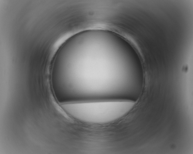 X0000112851480200908211019