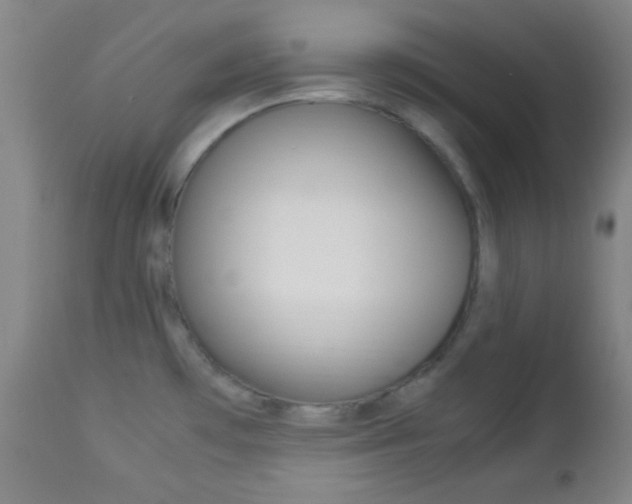 X0000112851481200908211019