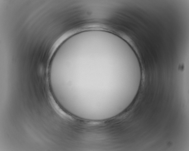 X0000112851482200908211019