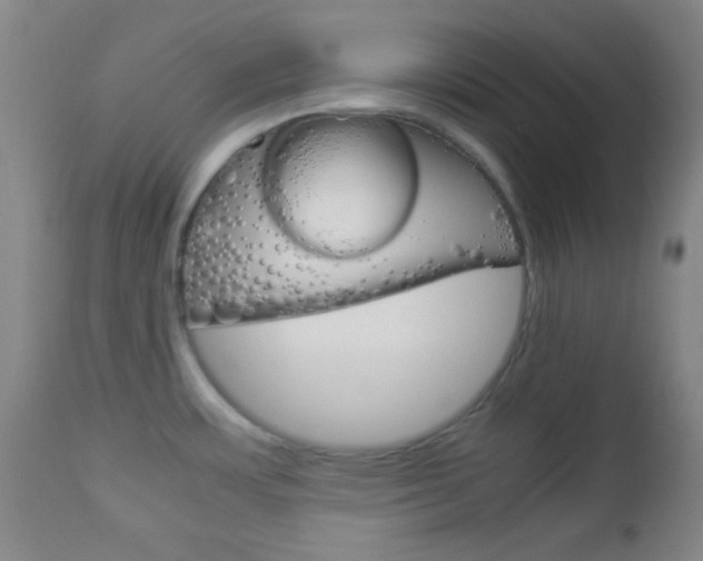 X0000112851483200908211019