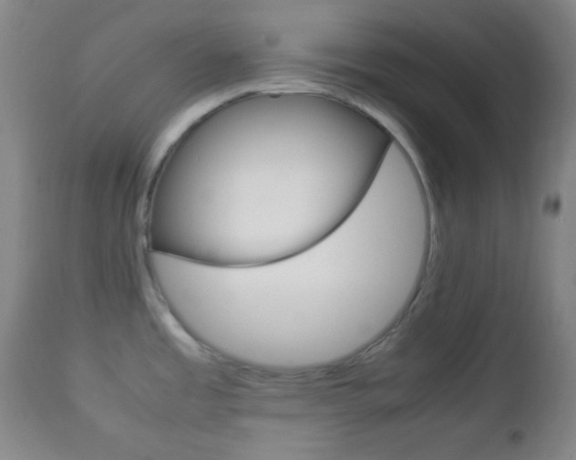 X0000112851485200908211019