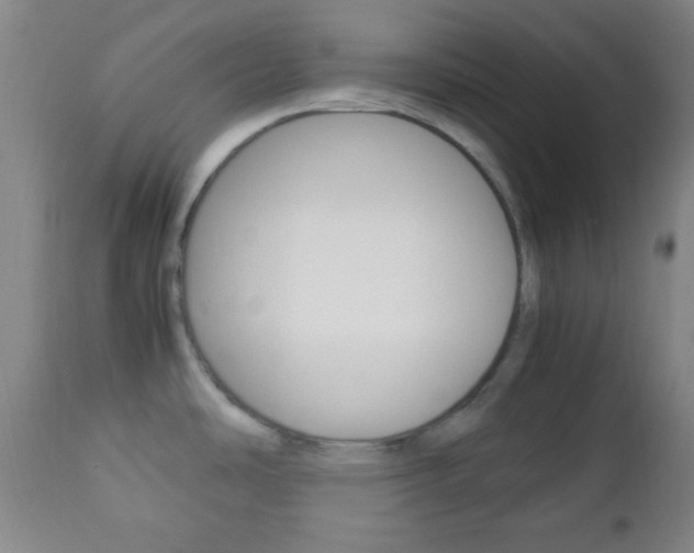 X0000112851486200908211019