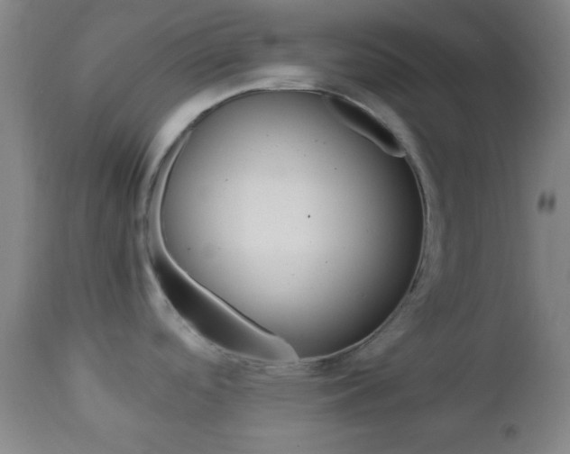 X0000112851488200908211019