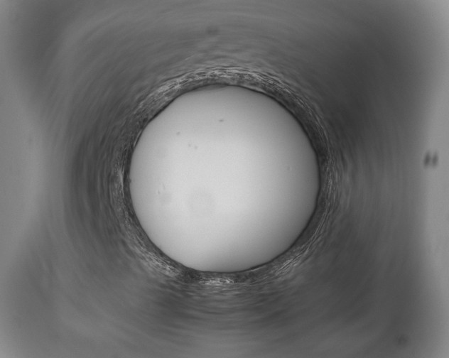 X0000112851489200908211018