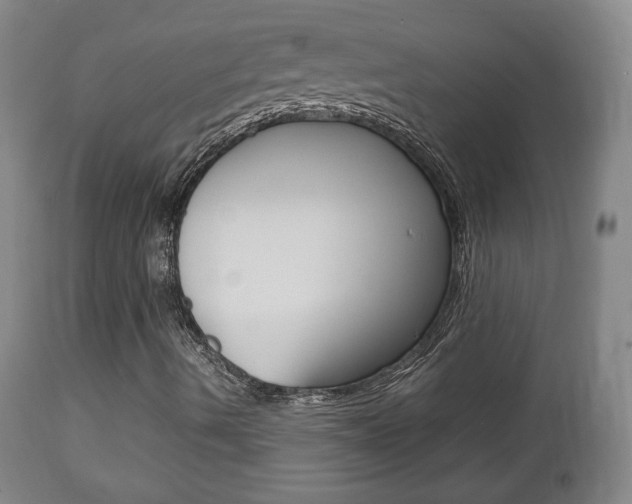 X0000112851490200908211018