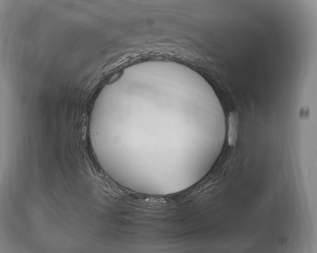 X0000112851491200908211018
