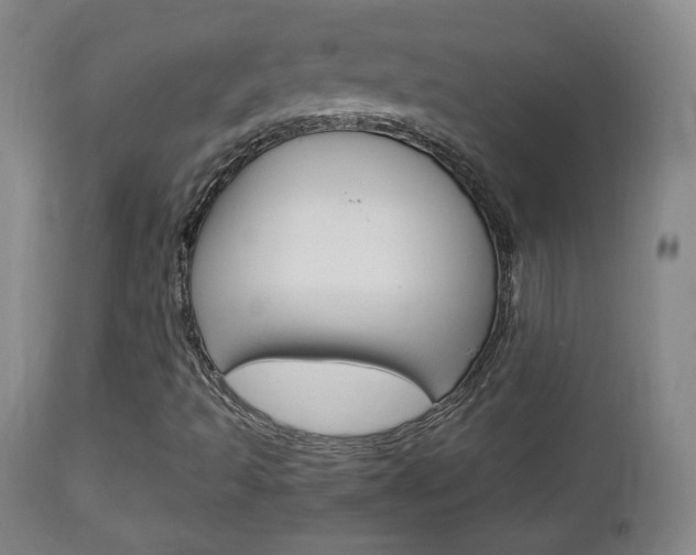 X0000112851493200908211018