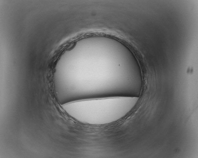 X0000112851494200908211018