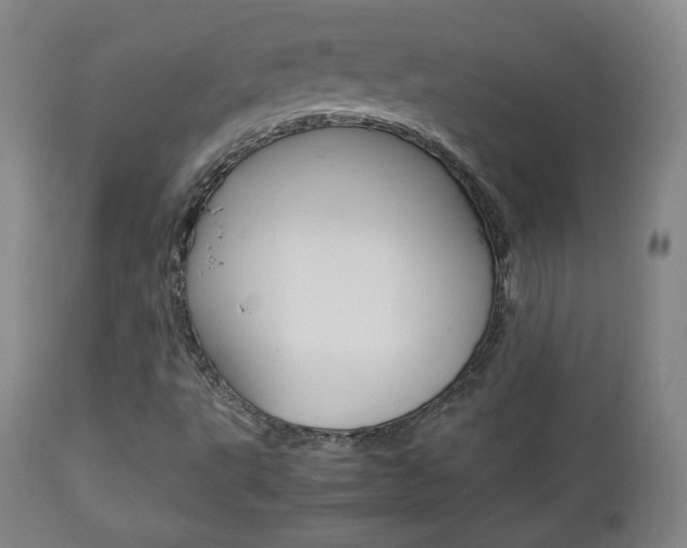 X0000112851495200908211018