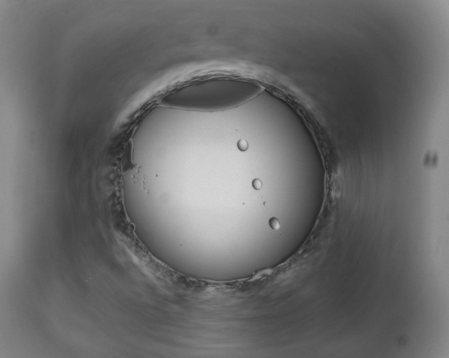 X0000112851496200908211018