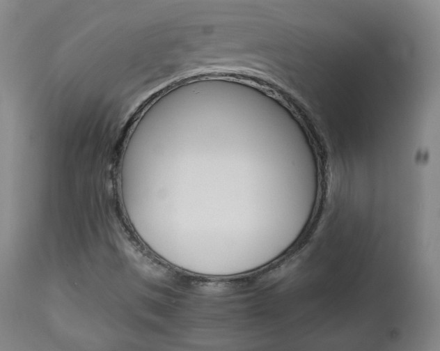 X0000112851497200908211018