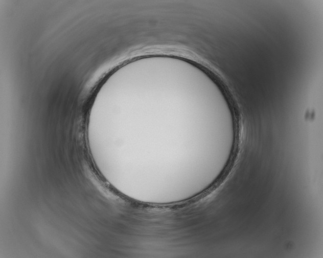 X0000112851498200908211018