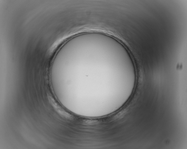 X0000112851499200908211018