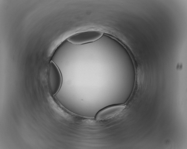 X0000112851500200908211018
