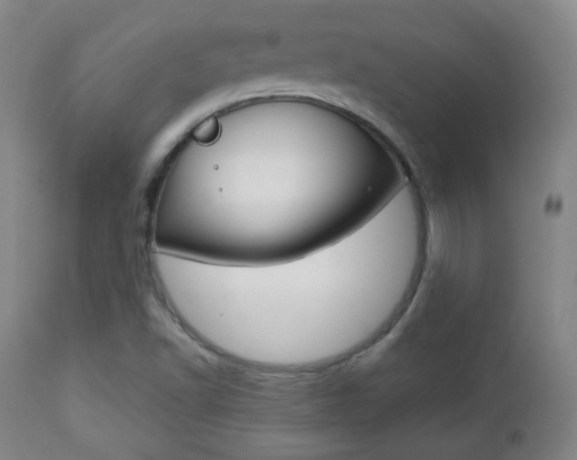 X0000112851502200908211018