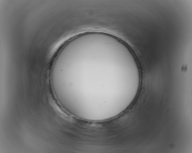 X0000112851503200908211018