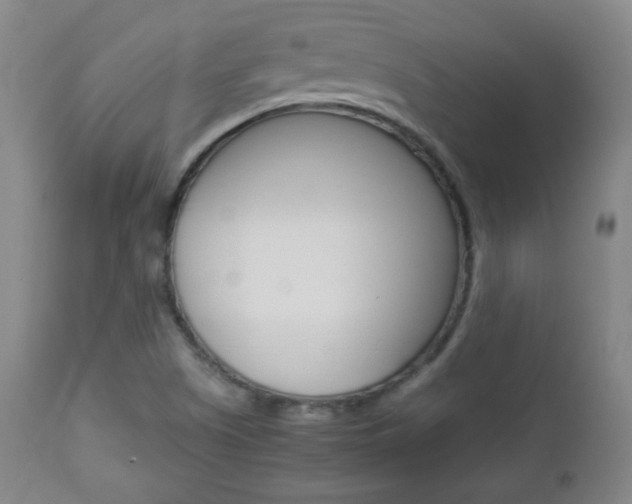 X0000112851505200908211018