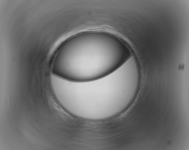 X0000112851506200908211018