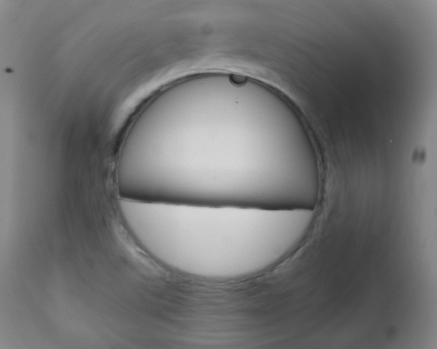 X0000112851507200908211018