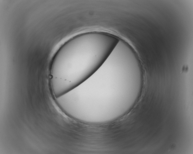 X0000112851508200908211018