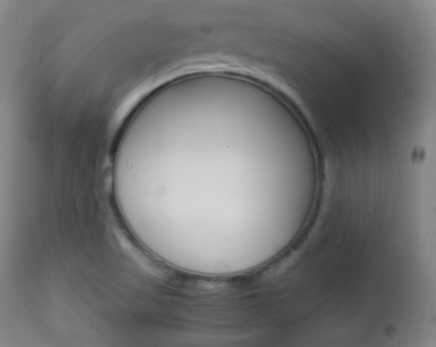 X0000112851509200908211018
