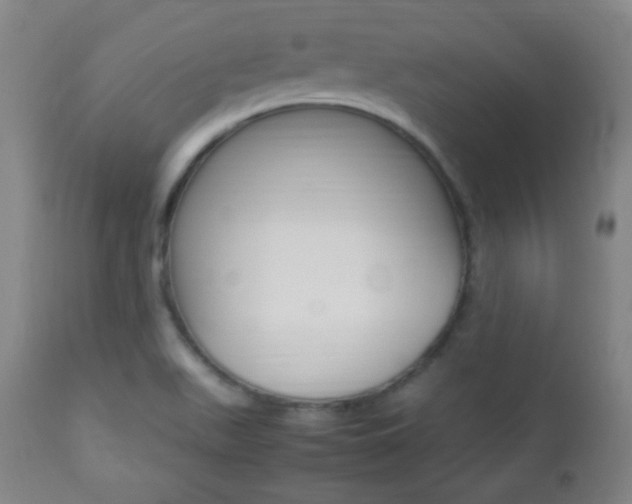 X0000112851511200908211018