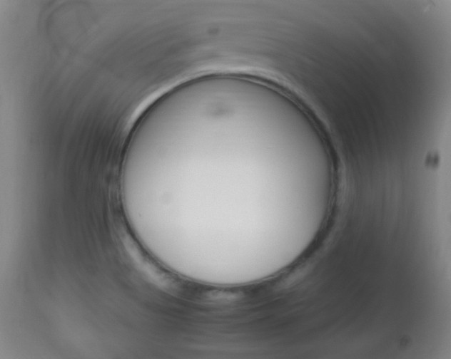 X0000112851513200908211018