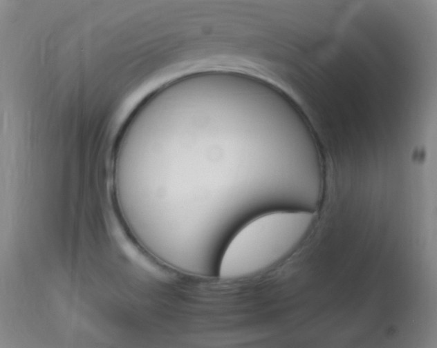 X0000112851515200908211018