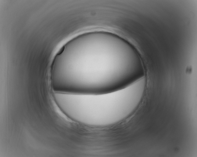 X0000112851516200908211018