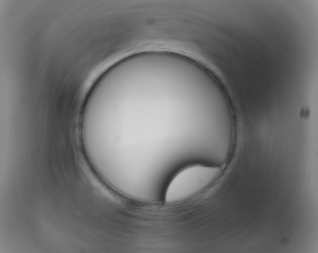 X0000112851517200908211018
