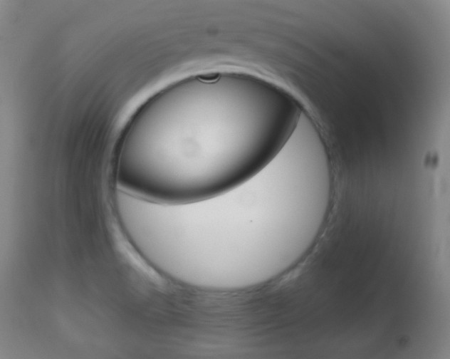 X0000112851518200908211018