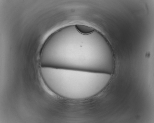 X0000112851519200908211018