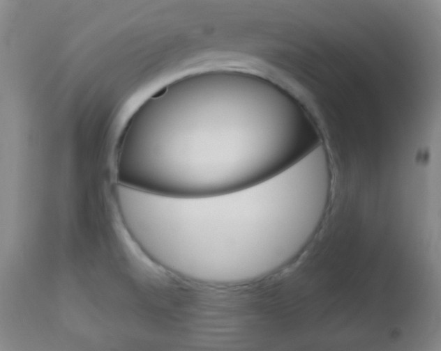X0000112851520200908211018