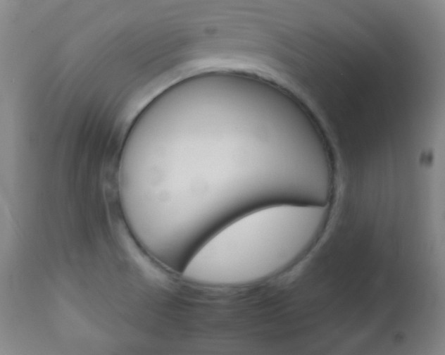 X0000112851521200908211018