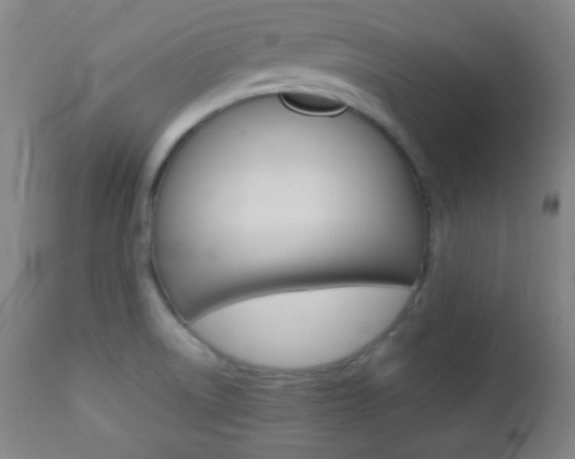 X0000112851522200908211018
