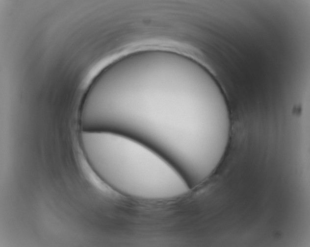 X0000112851523200908211018