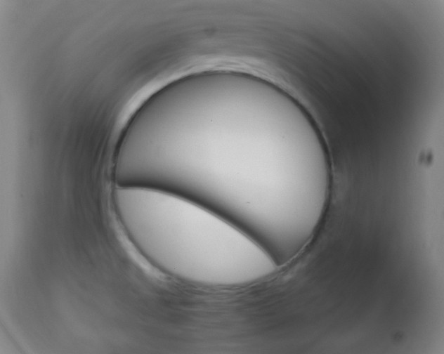 X0000112851525200908211018