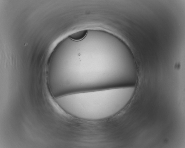 X0000112851526200908211018