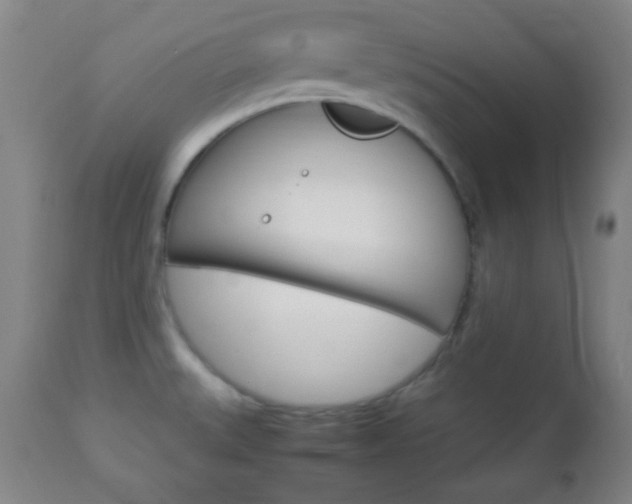 X0000112851527200908211018