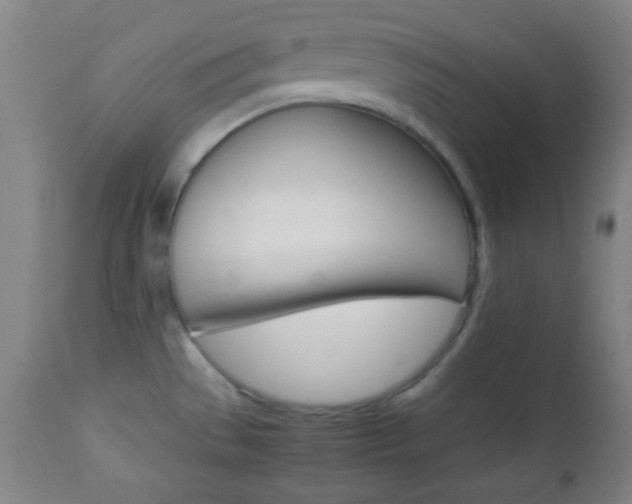 X0000112851529200908211018