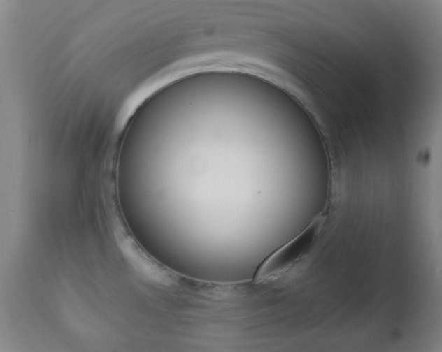 X0000112851530200908211018