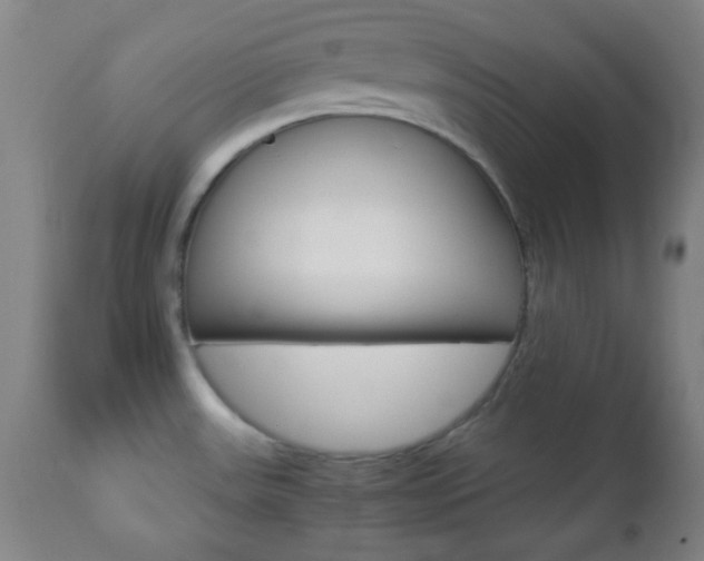 X0000112851531200908211018