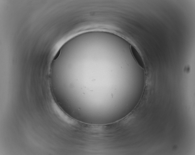 X0000112851532200908211018