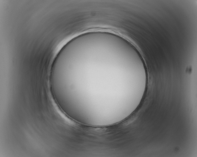 X0000112851533200908211018