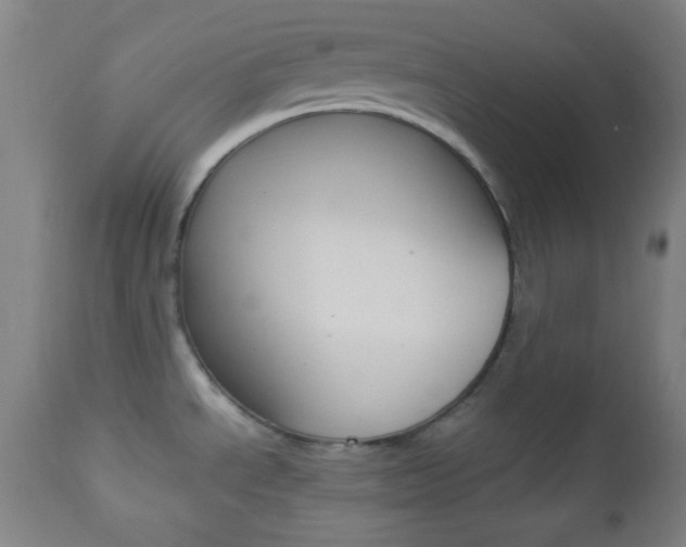 X0000112851534200908211018