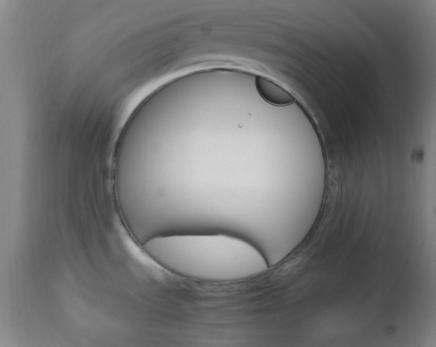 X0000112851535200908211018